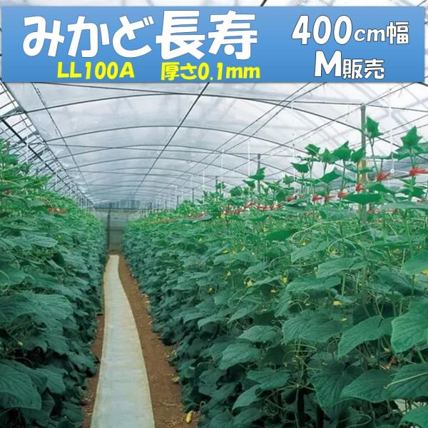 みかど長寿・内張りカーテン用・透明タイプ・流滴処理（練込品）・軽くて、群を抜く持ちの良さ、ベタツキもありません。【特徴】フィルム表面に汚れがつきにくく、透明感を長く保ちます。タテ・ヨコ方向それぞれで起こる収縮が少なく、束ねた時にも融着が起き...