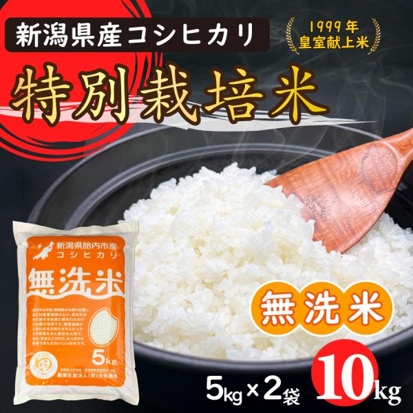 無洗米】令和6年産 特別栽培米コシヒカリ10Kg（5kgx2）【新潟県