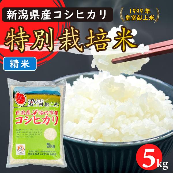 令和6年産 特別栽培米コシヒカリ（精米）5Kg【新潟県胎内市産】 : n  