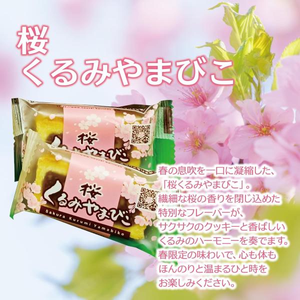 nouvel-bairindo_2325