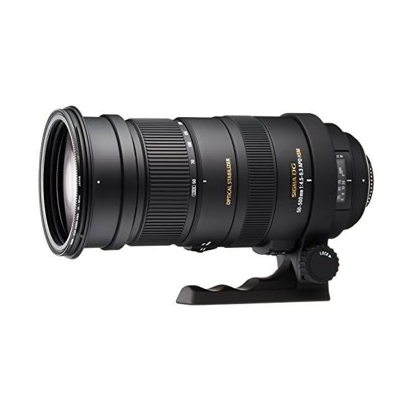 シグマ望遠レンズ500mm nouvelle-vie_2049-000950