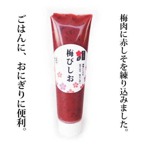 無添加 梅肉チューブ調味料 梅びしお 100gしそ入り 練り梅 Buyee Buyee Japanese Proxy Service Buy From Japan Bot Online