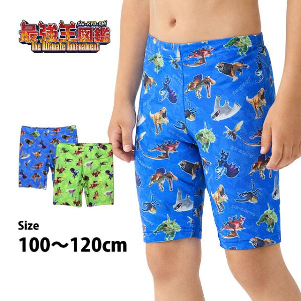 水着 スイムパンツ 海パン 最強王図鑑 男の子 キッズ ストレッチ ピッタリ 子供 海水パンツ 子供水着 100cm 110cm 120cm
