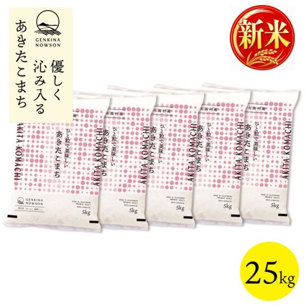 あきたこまち 25kg 送料無料 脱気包装5kg×5袋 選べる精米（白米／無 