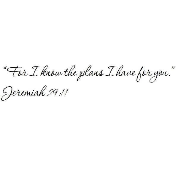 【並行輸入品】Tapestry Of Truth Jeremiah 29:11 Wall and home scripture, let