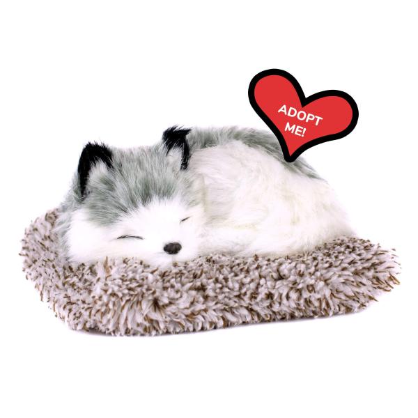 商品名: Perfect Petzzz Minis Alaskan Husky リアル 本物そっくり インタラクティブぬいぐるみ 電子ペット コンパニオンペット子犬 100%合成ファー Perfect Petzzz Minis Alaska...