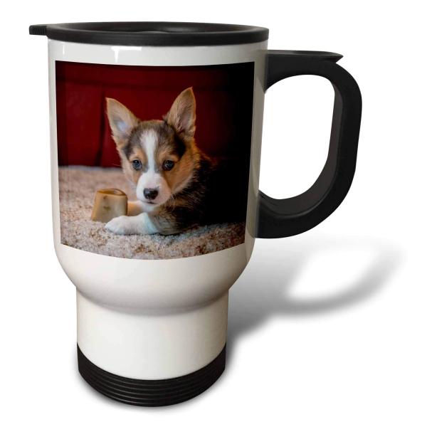 【並行輸入品】 3dRose Eight week old Corgi puppy resting on the carpet guarding