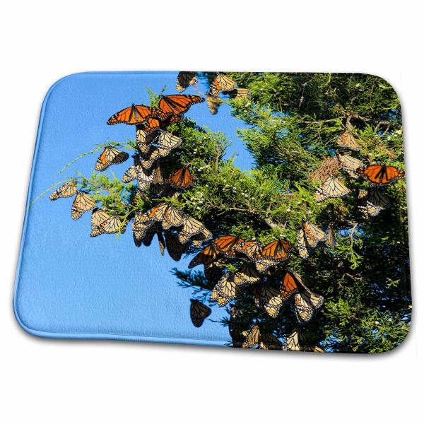 【並行輸入品】 3dRose Bathroom Bath Rug Mat Monarch Butterflies roosting in E