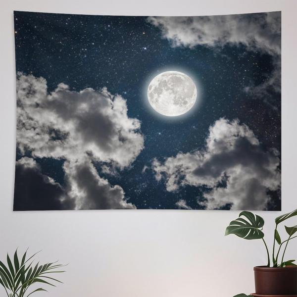 【並行輸入品】 ZhiRain Dream Night Sky Tapestry Wall Hanging Full Moon Stars Ga