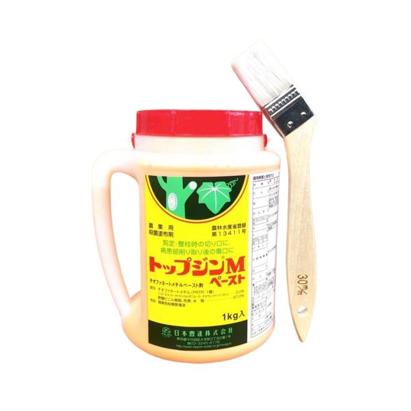 ■登録番号第13411号【特性】・病患部を削り取った後の傷口、剪定・整枝・環状はく皮時の切り口などに本剤を塗布すると、耐雨性の安定した殺菌保護皮膜がすみやかにでき、木質部の亀裂、雨水や雑菌の進入を防ぎ、新しいカルス（ゆ合組織）の形成を著しく...