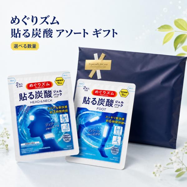 めぐりズム 貼る 炭酸 ジェルパック 2種 アソート 各12枚（計24枚）セット ギフト プレゼント 冷感ジェル 足用 頭・首用 巡りズム 疲労感 スッキリ 花王