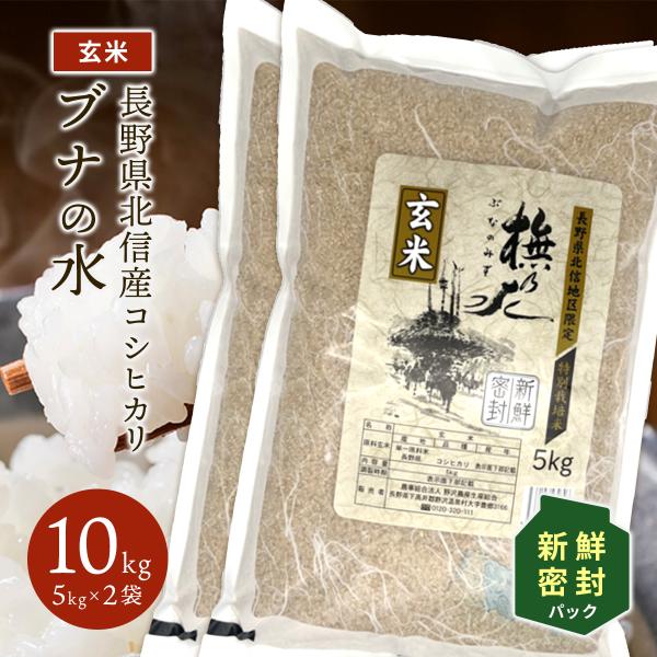 玄米 10kg 新鮮密封パック 長期保管 送料無料 米 お米 コシヒカリ こしひかり 特別栽培米 野沢農産 長野県産 北信産 5kg × 2袋 ブナの水 令和4年産