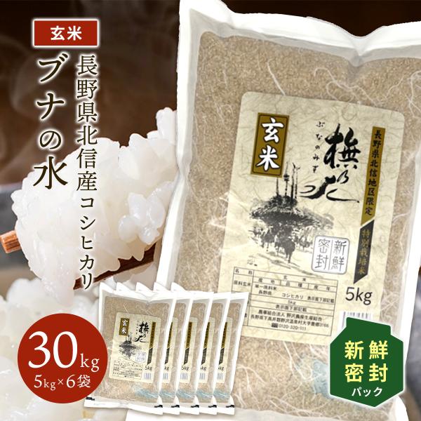 玄米 30kg 新鮮密封パック 長期保管 送料無料 米 お米 コシヒカリ こしひかり 特別栽培米 野沢農産 長野県産 北信産 5kg ×6袋 ブナの水 令和4年産