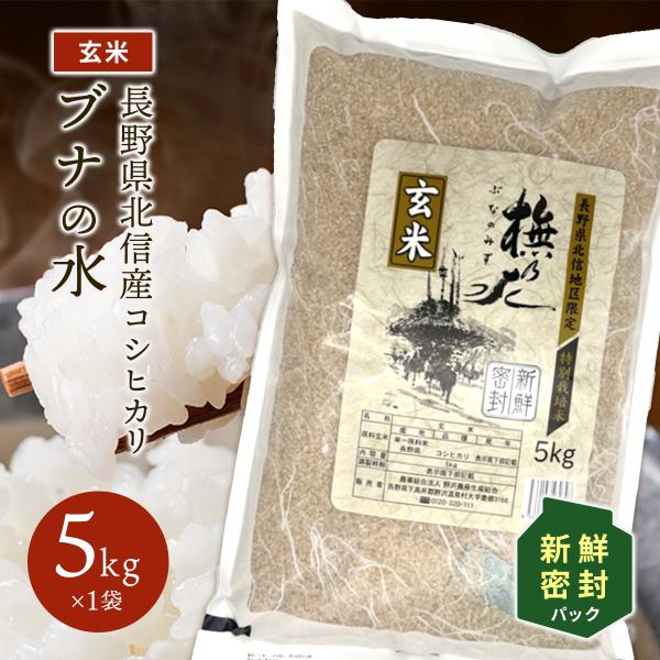 玄米 5kg 新鮮密封パック 長期保管 送料無料 米 お米 コシヒカリ こしひかり 特別栽培米 野沢農産 長野県産 北信産 5キロ ブナの水 令和4年産
