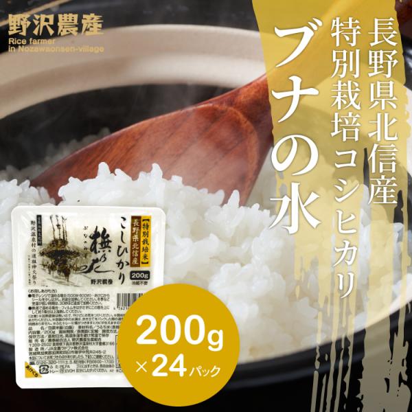 パックご飯 200g × 24パック 賞味期限2025年2月 送料無料 米 お米 コシヒカリ こしひかり 特別栽培米 野沢農産 長野県産 北信産 白米 ブナの水