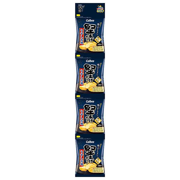 カルビー 堅あげプッチ4 うすしお味 60g×10袋入×(2ケース)｜ 送料無料