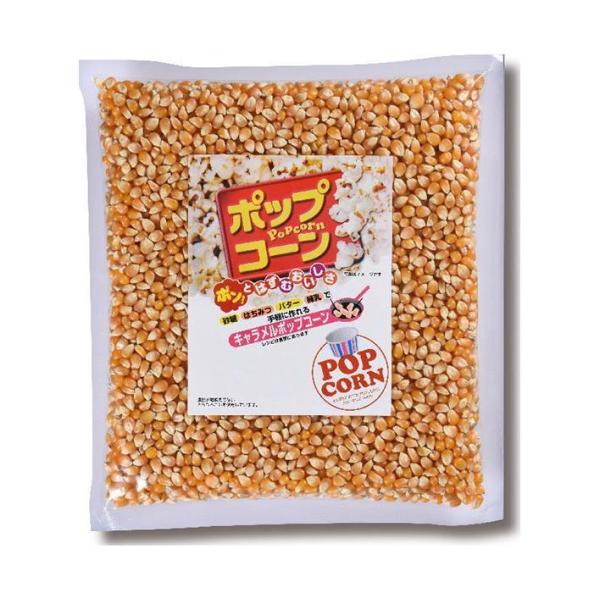 TRN |bvR[ 1000g×6ܓb 