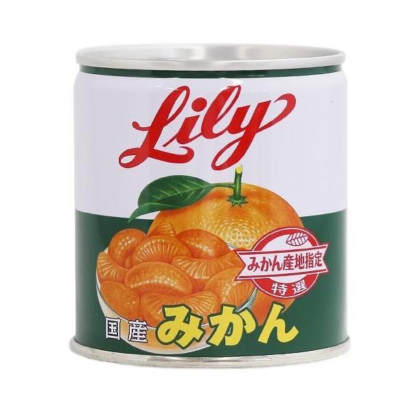 みかん 缶詰 - その他のフルーツの人気商品・通販・価格比較 - 価格.com
