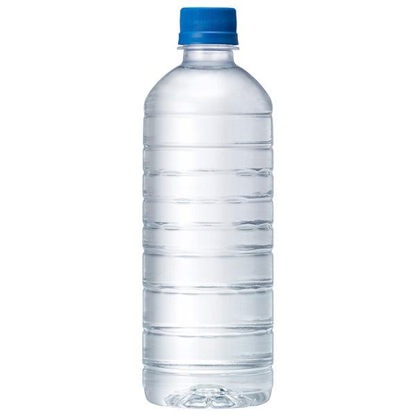 キリン 自然が磨いた天然水 ラベルレス 600mlペットボトル×24本入×(2ケース)｜ 送料無料