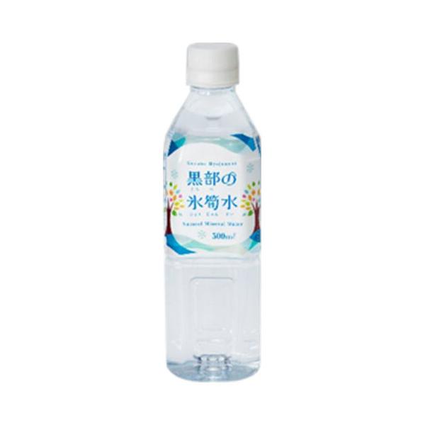 関電不動産開発 黒部の氷筍水 500mlペットボトル×24本入×(2ケース)｜ 送料無料