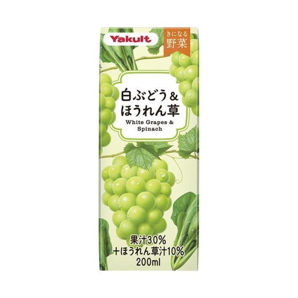 nozomi-market_b49-33
