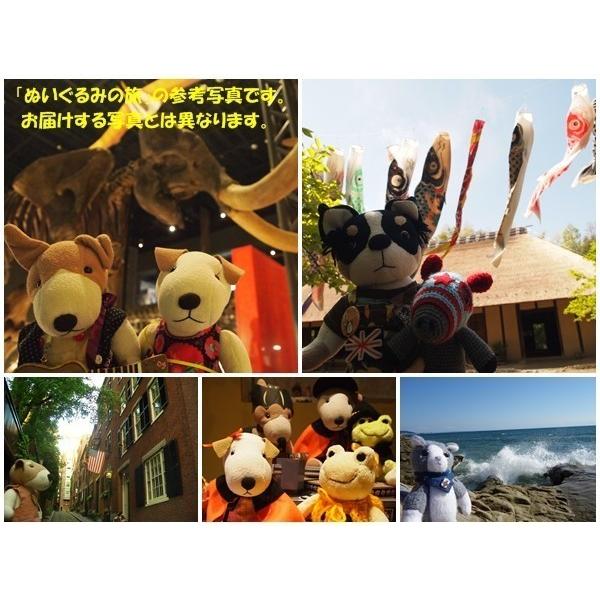 お試し旅セットぬいぐるみ ひつじ カメラ いちごちゃん Buyee Buyee Japanischer Proxy Service Kaufen Sie Aus Japan