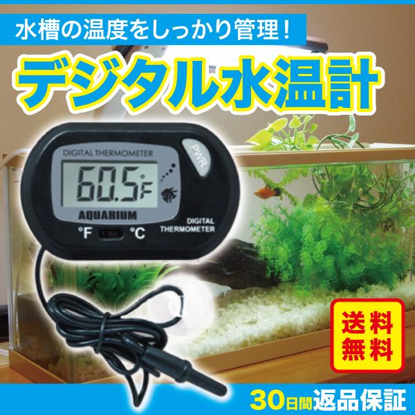 水温計 デジタル 水槽 温度計 センサーコード 水温 熱帯魚 海水魚 Lcd 065 1129 Nrsショップ 通販 Yahoo ショッピング