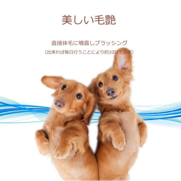 La Fun ラ ファン 200ml (ペット用ケアコンディショナー) 毛艶 口臭用 