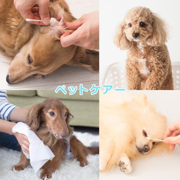 Lafun ラファン1リットルボトル業務用 使用期限3ケ月 Buyee Buyee 日本の通販商品 オークションの代理入札 代理購入