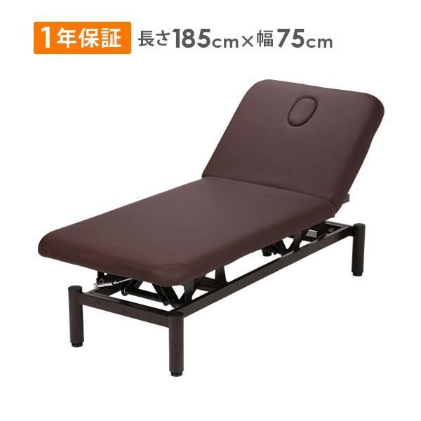エステ電動ベッド ブラウン 幅65cm エステ電動ベッド ブラウン 幅65cm 【公式通販】