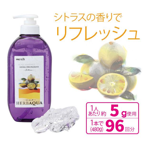 ヘッドスパ ジェル プロズビ ハーバクア スカルプ シトラス 480g ヘアトリートメント 洗い流さない 洗い流し不要 ヘッドマッサージ 頭皮マッサージ スカルプケア Buyee Buyee Japanese Proxy Service Buy From Japan Bot Online