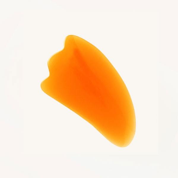 v[g ~cE H^ 10×5.5×ݖ0.5cm }bT[W JbTv[g }bT[Wv[g  GXepi GXe قꂢ