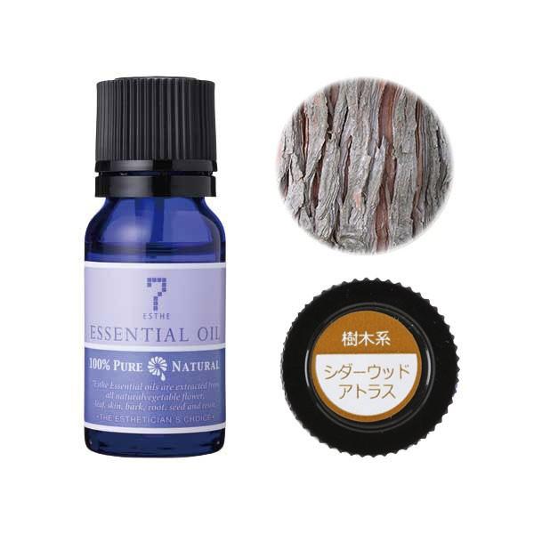 A}IC  V_[Ebh AgX 10mL GbZVIC A} }bT[WIC {fBIC }bT[Wp A}}bT[WIC  ،n