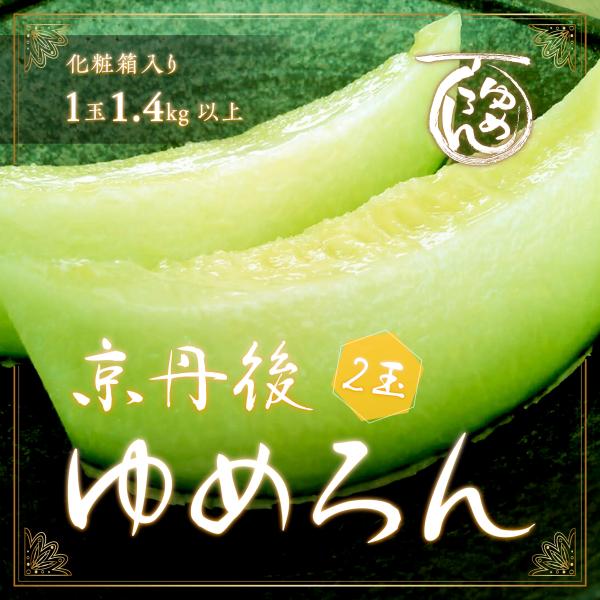 8/8販売終了！】京丹後市産メロン「ゆめろん」青玉2玉セット