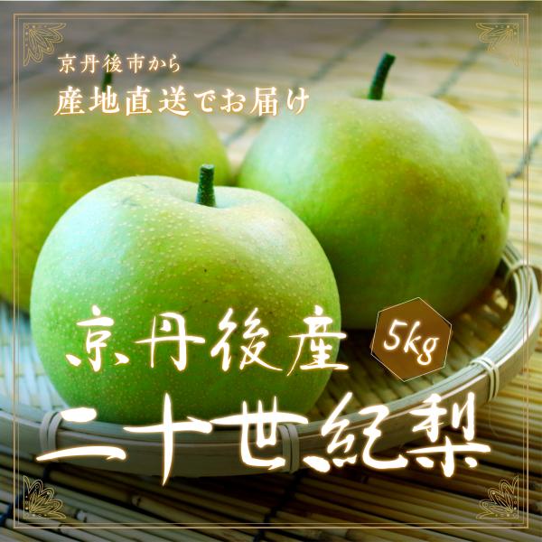 【予約】京丹後産二十世紀梨　5kg箱入（13玉前後）ギフト　お取寄せ