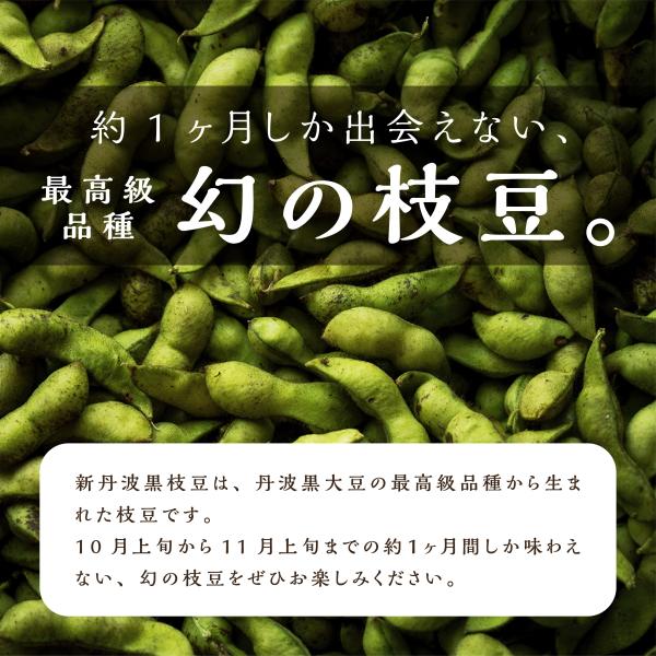 �y�\��z�V�O�g���}�� 2kg�@�}�����@�Y�n�����@���O�g�Y ���i�摜1