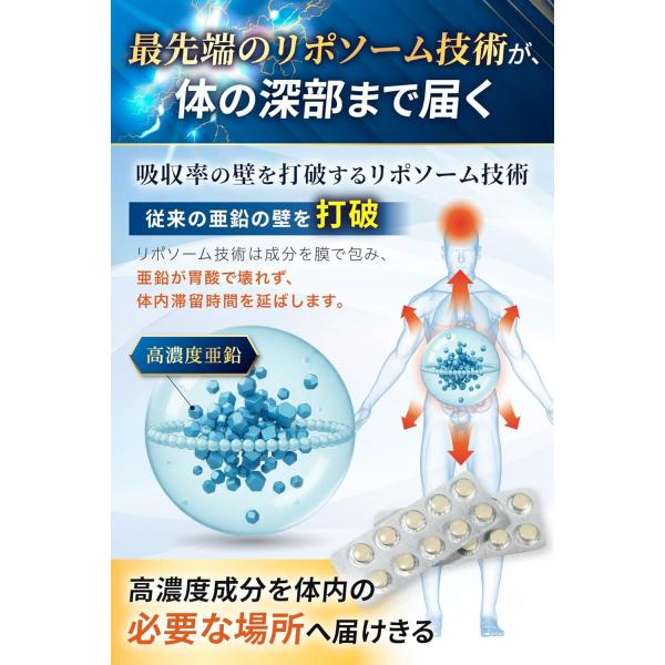 nszstore_finaxyl_3_d_20260228194556