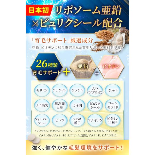 nszstore_finaxyl_5_d_20260228194603