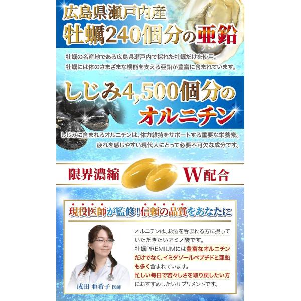 nszstore_kaki-premium_2_d_20250220181531