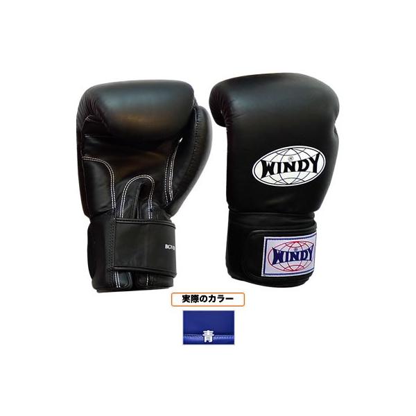 WINDY EBfB g[jOO[u^yA BGVH@16oz 