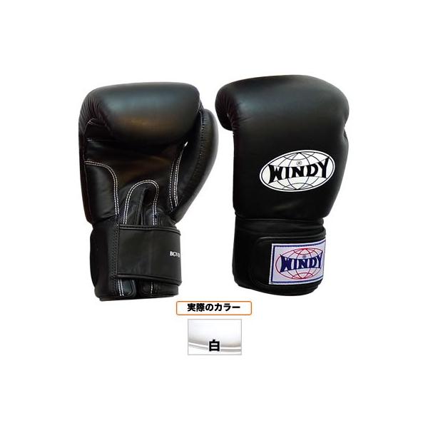 WINDY EBfB g[jOO[u^yA BGVH@16oz 