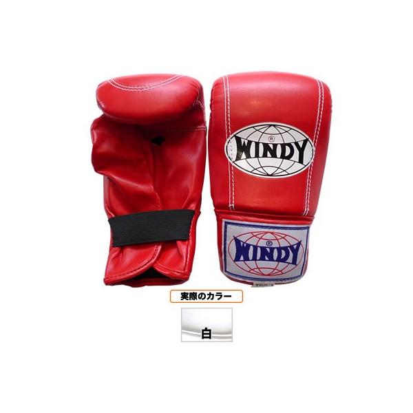 WINDY EBfB p`OO[u^yA TBG-1@STCY 