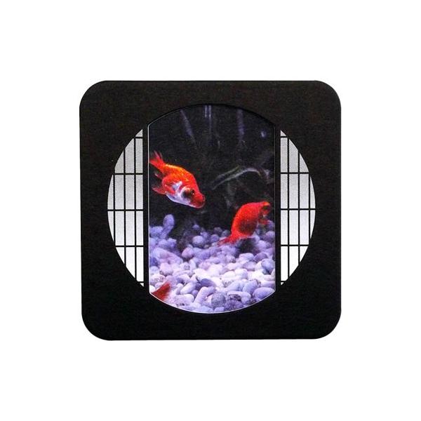 ̌^fUCR[X^[ BUMPa~  2mm No.31 ^3 0311