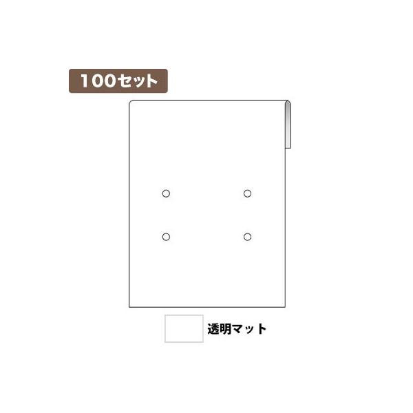 sAX䎆M 4 }bg ×100Zbg No.9850