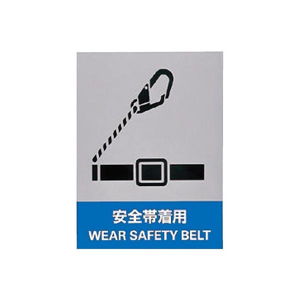 JISHASW XebJ[ Sђp p\L 51Zbg 029116 134954