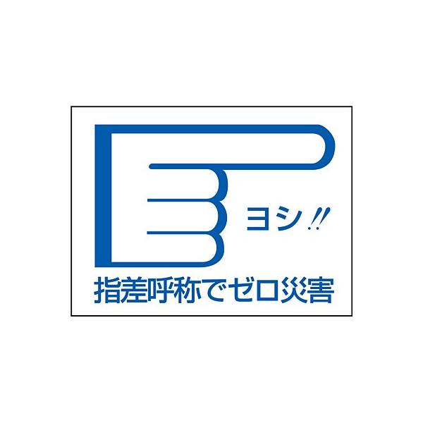 wď̃XebJ[ wď̂Ń[ЊQ wE 101Zbg 204004 031987