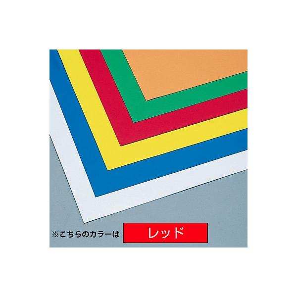 }OlJ[V[g Жʎ bh  312174 079996