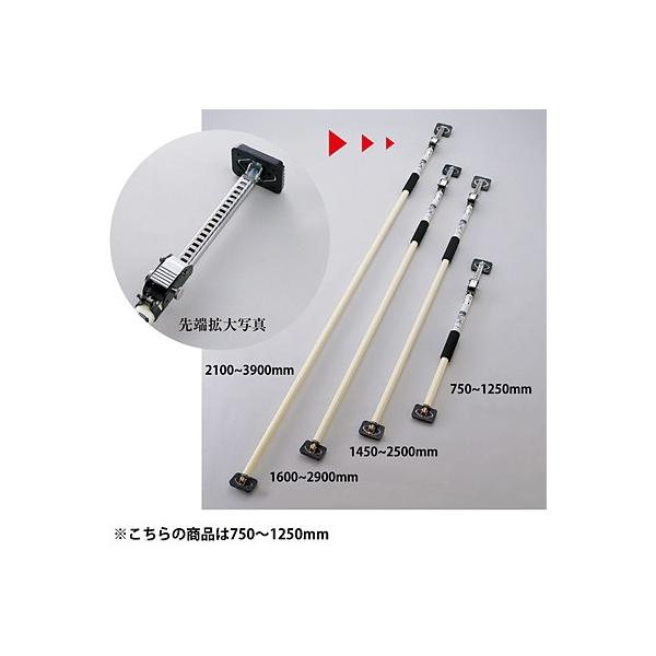 ˂X^h 750mm`1250mm 359001 145240