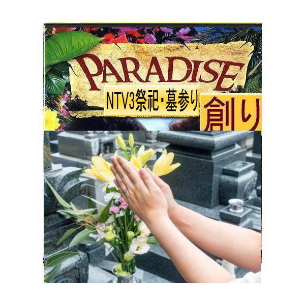 (1)花の型番：SCH36-1591　サイズ : 外寸(上部)φ19cm(下部)φ13cm 内寸(上部)φ17cm(下部)φ12.8cm　全体の高さ 33.5cm　重さ : 600g(2)実行書クリアカード サイズ : B5　(3)NTV3...