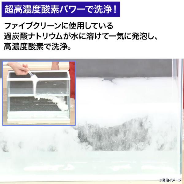 ntvshop_2072a5010001_5_d_20250918122809